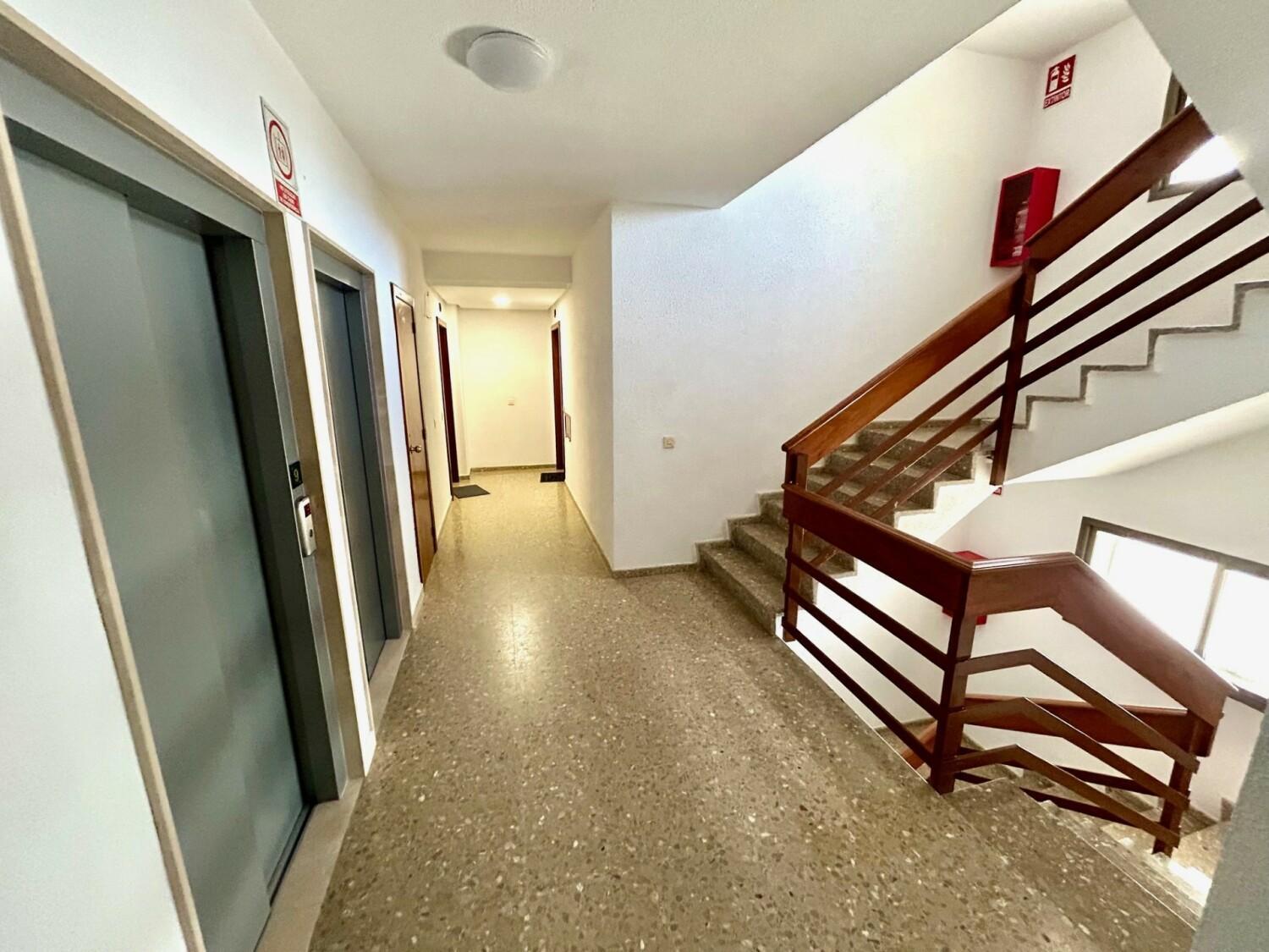 Gatu Arena " Preferente Mayores De 25 Anos Y Familias " El Puerto de Santa Maria Luaran gambar